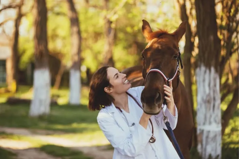 A smiling equine veterinarian in a white coat gently holding the head of a chestnut horse during an outdoor farm call. A smiling equine veterinarian in a white coat gently holding the head of a chestnut horse during an outdoor farm call.