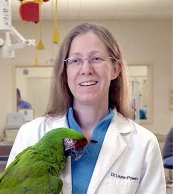 Lauren PowersAvian & Exotics