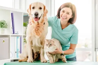 What to Expect When You Attend a Wellness Exam for Your Pet