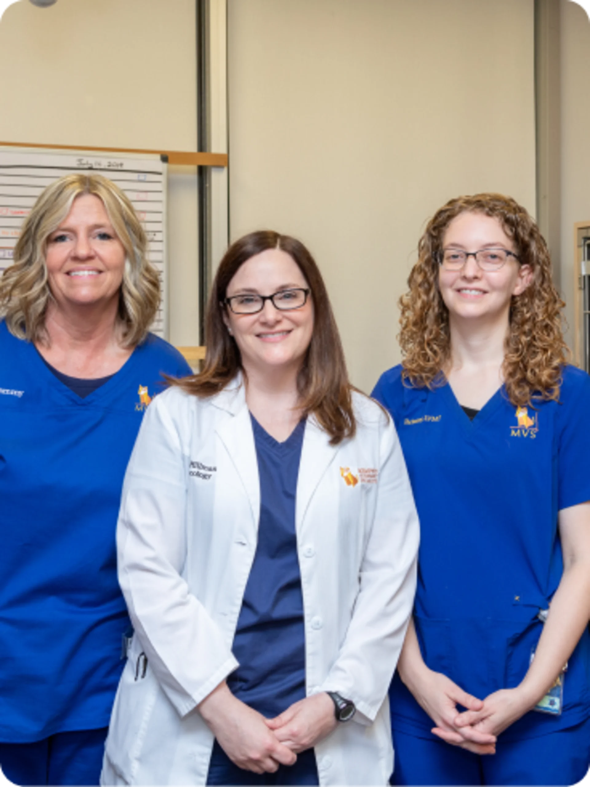 A group portrait of three female veterinary professionals, one wearing a white lab coat and two wearing blue scrubs.