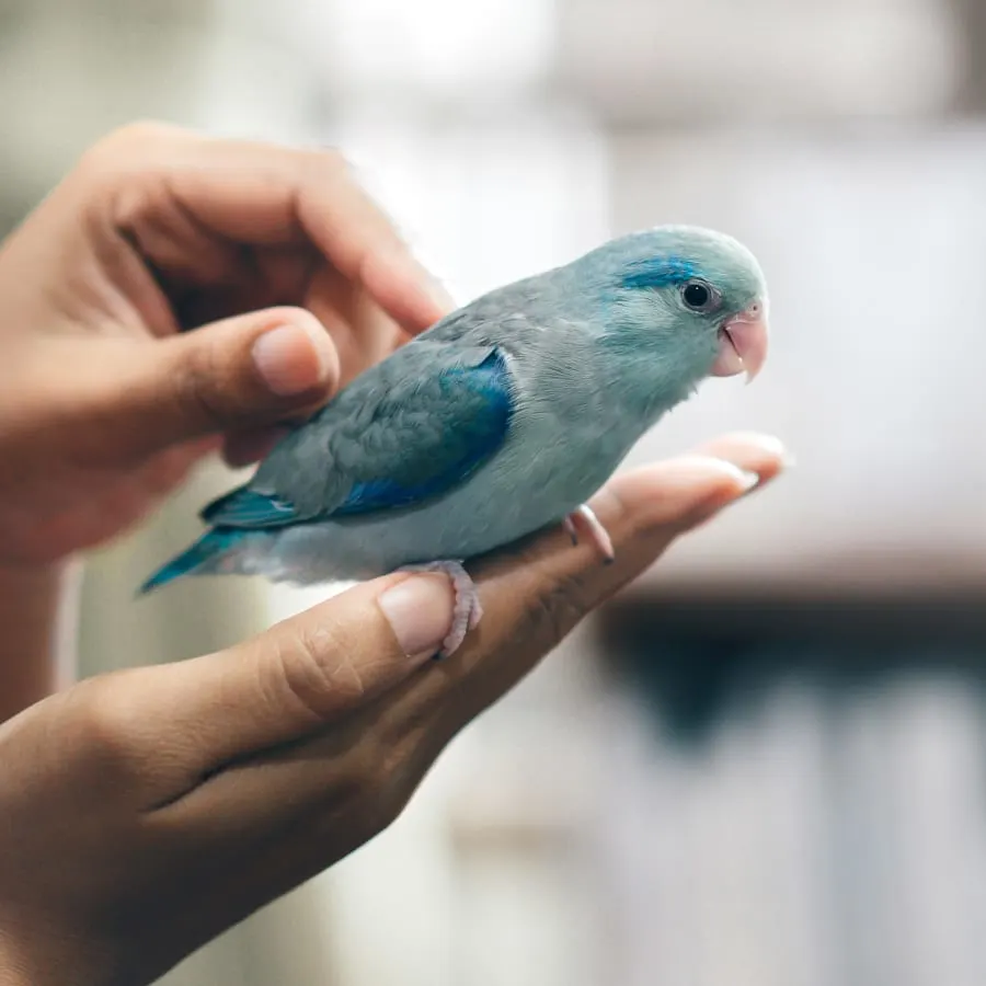  Riverside Veterinary Hospital Generic Section Image