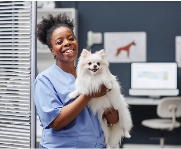 doctor holding dog