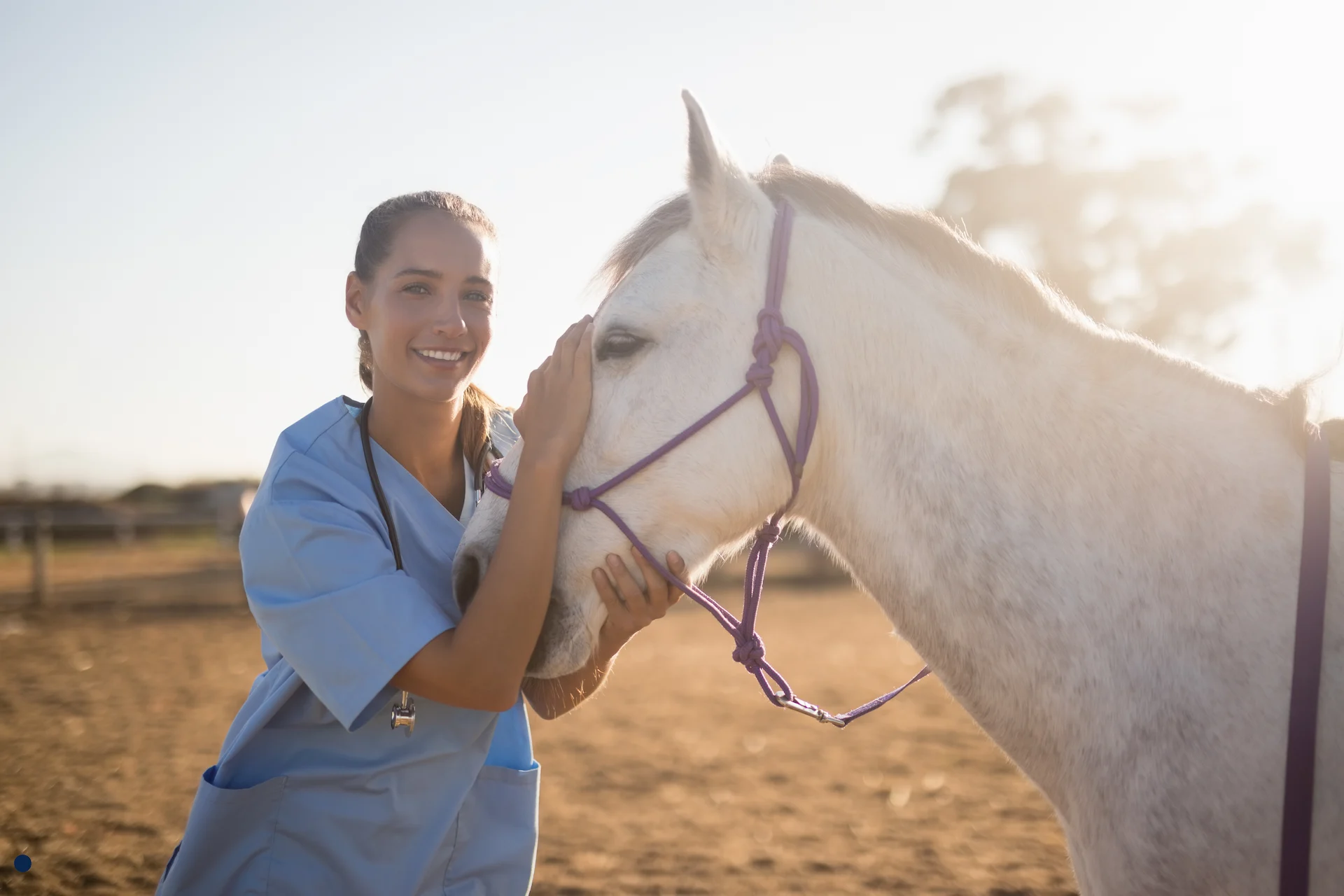 doctor-with-horse-outside