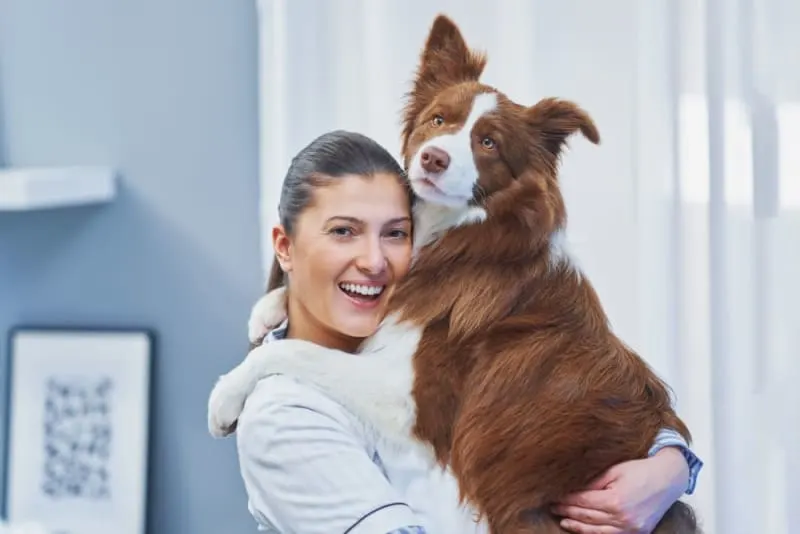 What Is Medical Pet Boarding? What Is Medical Pet Boarding?