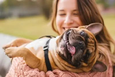 A smiling woman in a pink sweater holding a brindle French Bulldog upside down in her arms; the dog has its tongue out and eyes wide in a playful, happy expression. A smiling woman in a pink sweater holding a brindle French Bulldog upside down in her arms; the dog has its tongue out and eyes wide in a playful, happy expression.