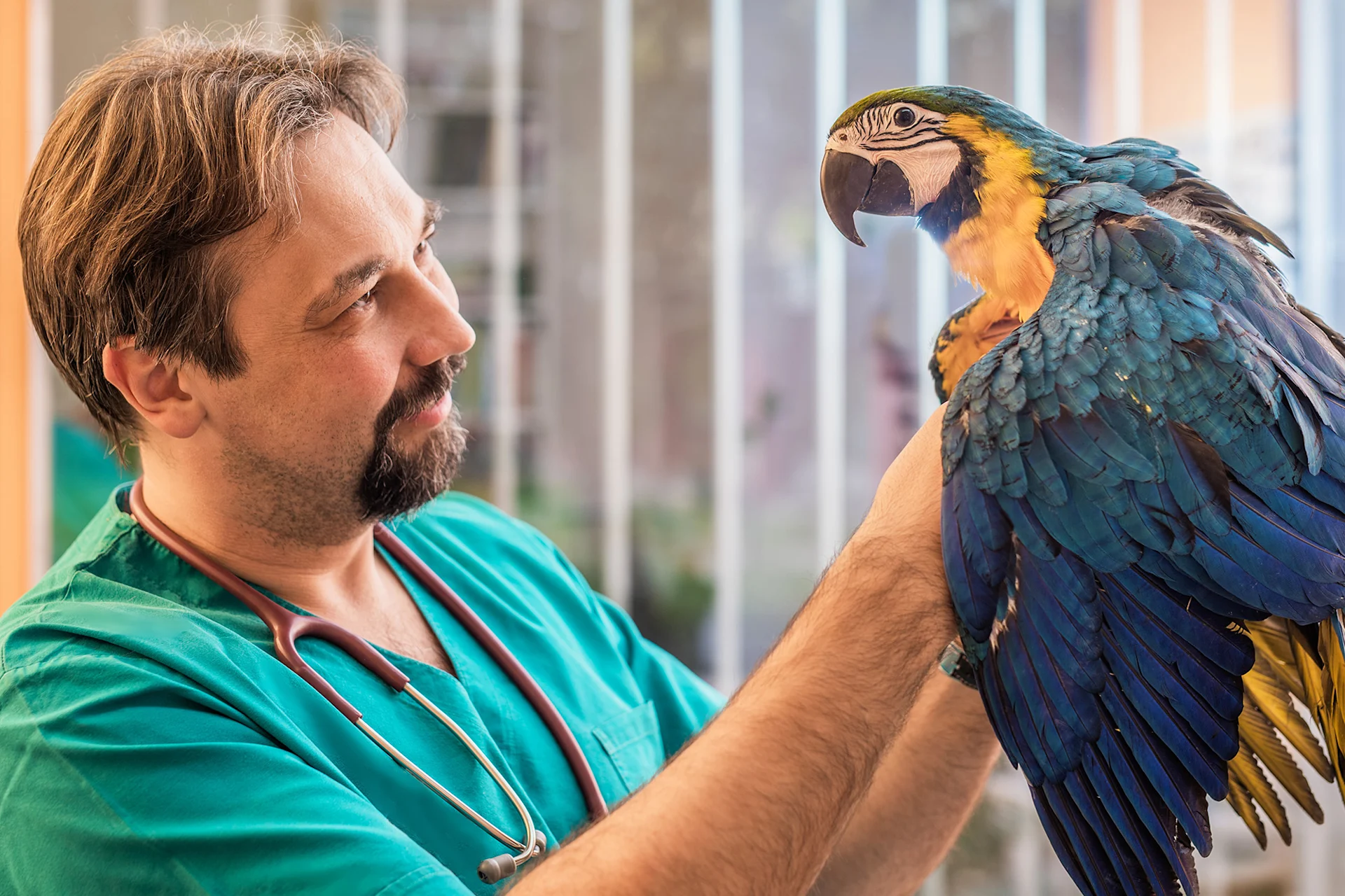 pet vet with exotic bird