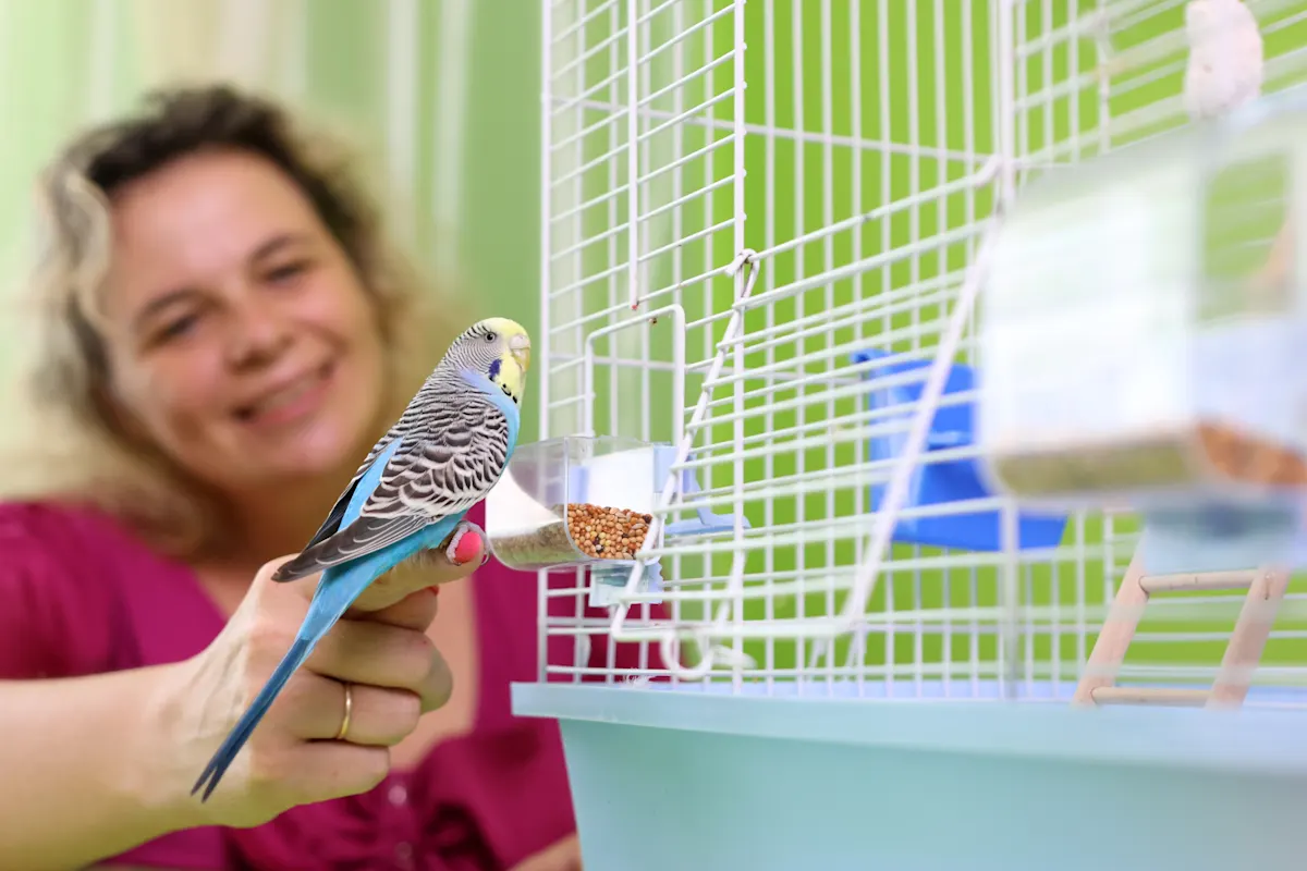 A blue and white budgerigar (parakeet) perched on a person's finger outside its white wire cage, with the person smiling in the background.