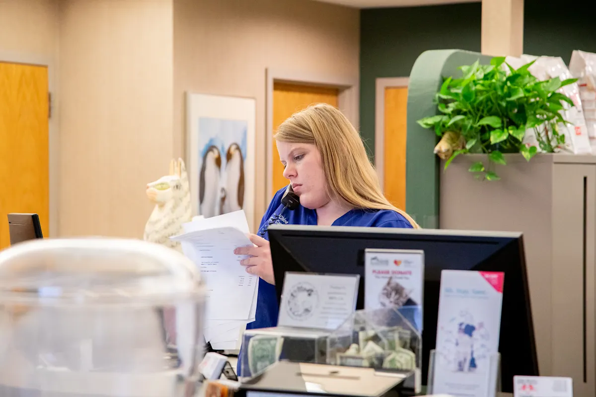 A veterinary receptionist in blue scrubs speaking on the phone while reviewing paperwork behind a clinic front desk featuring various brochures and a donation jar. A veterinary receptionist in blue scrubs speaking on the phone while reviewing paperwork behind a clinic front desk featuring various brochures and a donation jar.