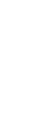 petvet logo