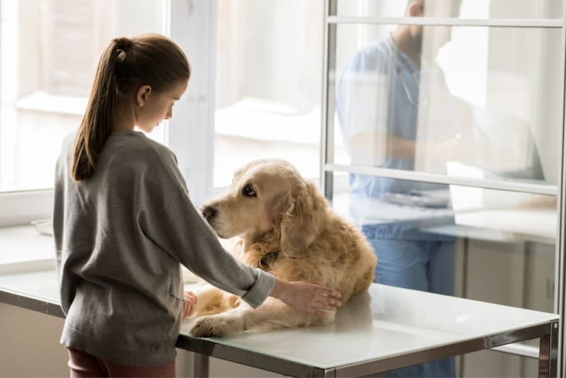 Behavioral Health: Addressing Anxiety & Stress During Routine Pet Wellness Exams