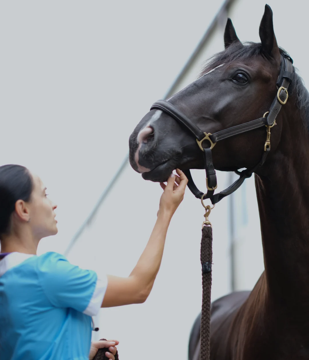 girl standing with horse