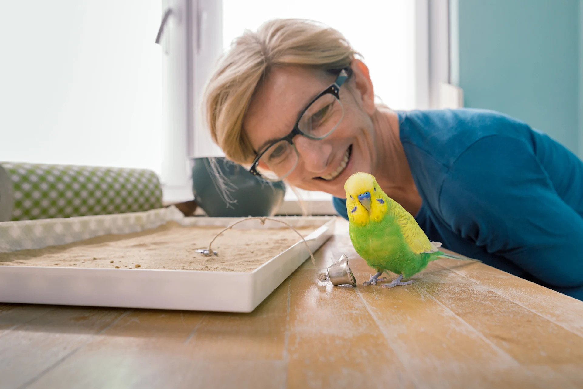 pet owner with bird