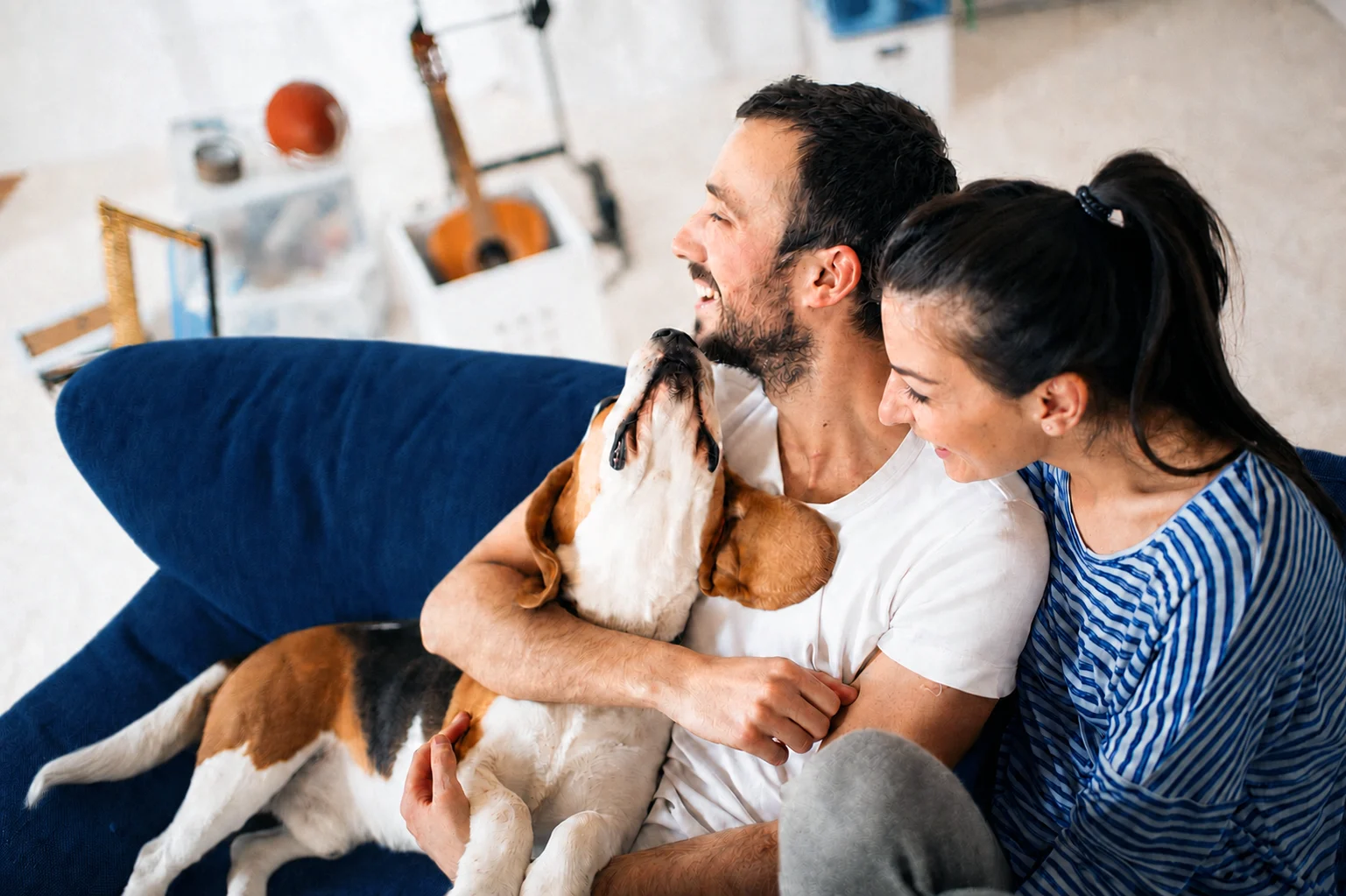 family playing with dog