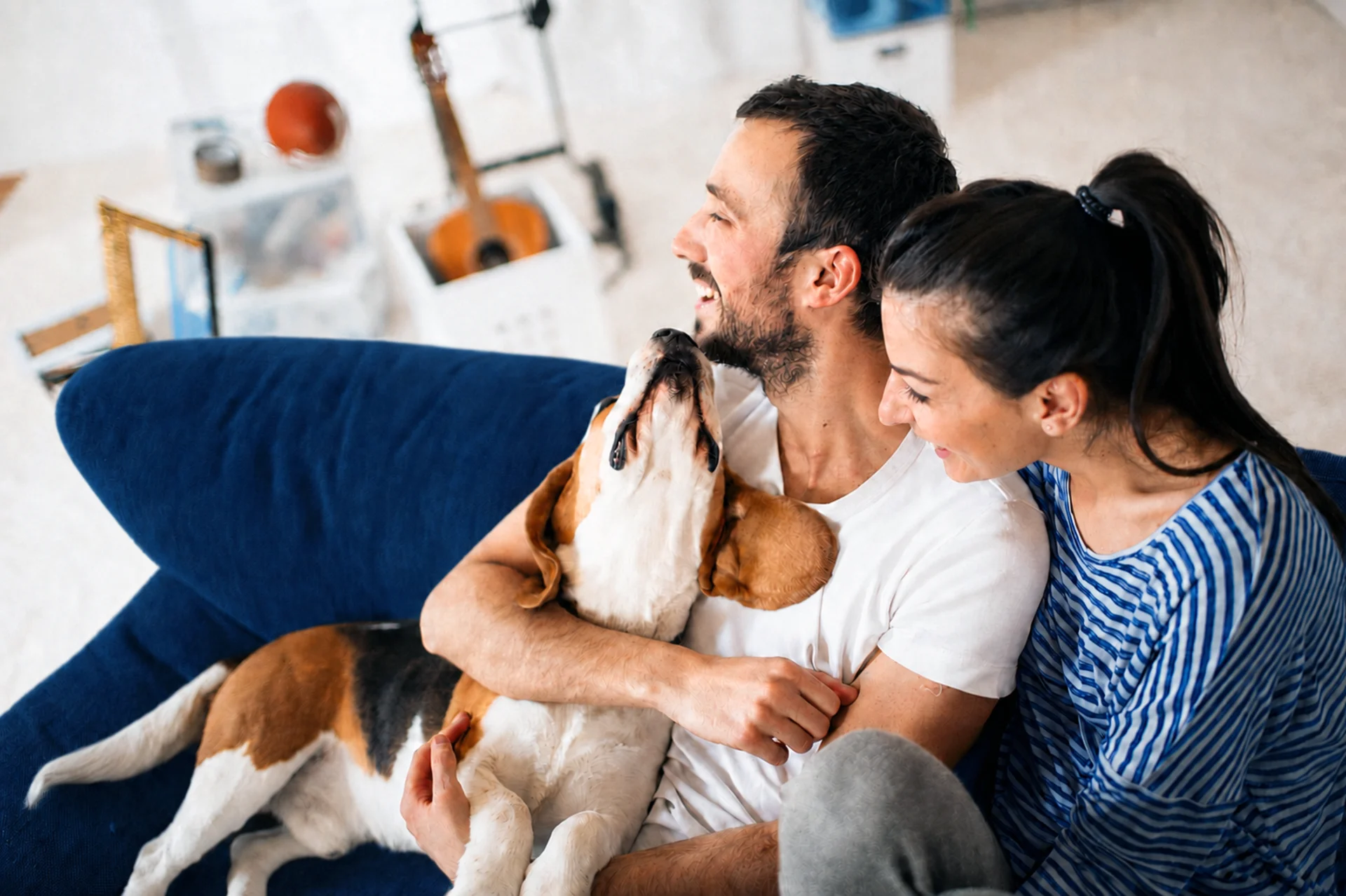 family playing with dog