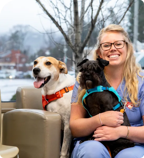 Vet staff member smiling and holding two happy dogs.