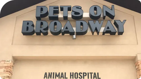 pets on broadway image
