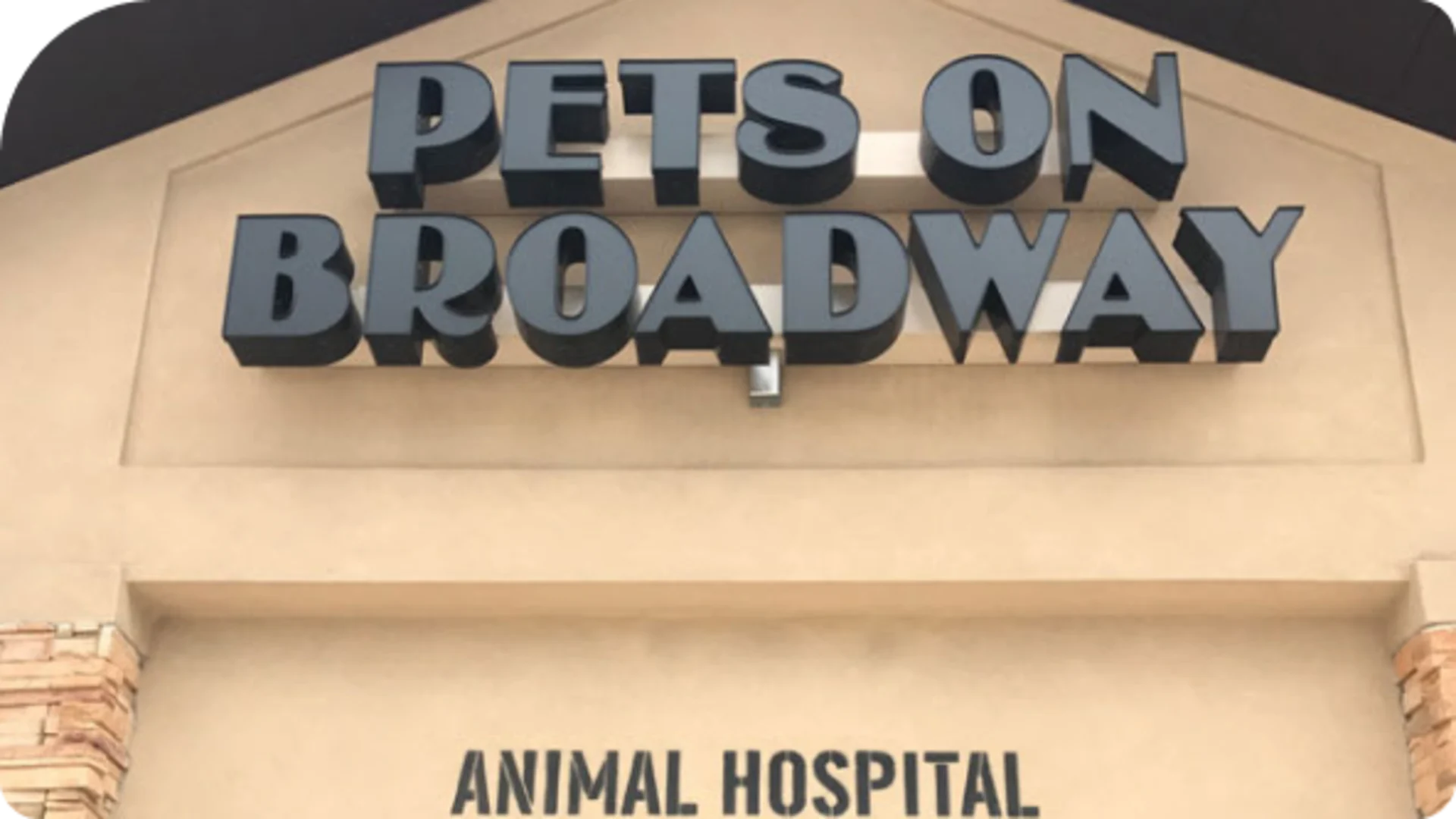 pets on broadway image
