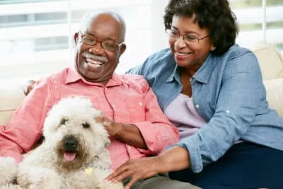 What to Expect in Your Dog's Senior Years