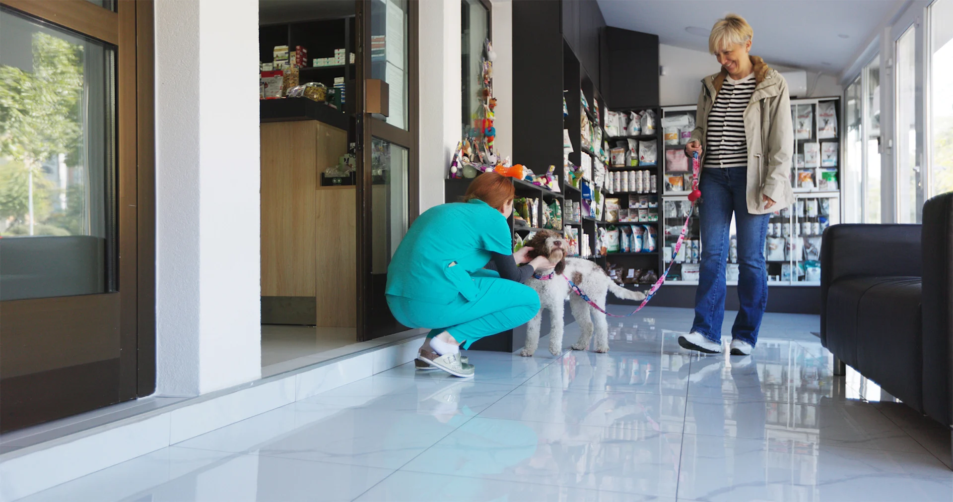 The veterinarian welcoming a new dog patient.
