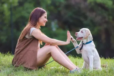 Costs of Owning a Dog