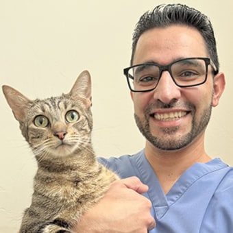 Dr. Saman Partow Navid