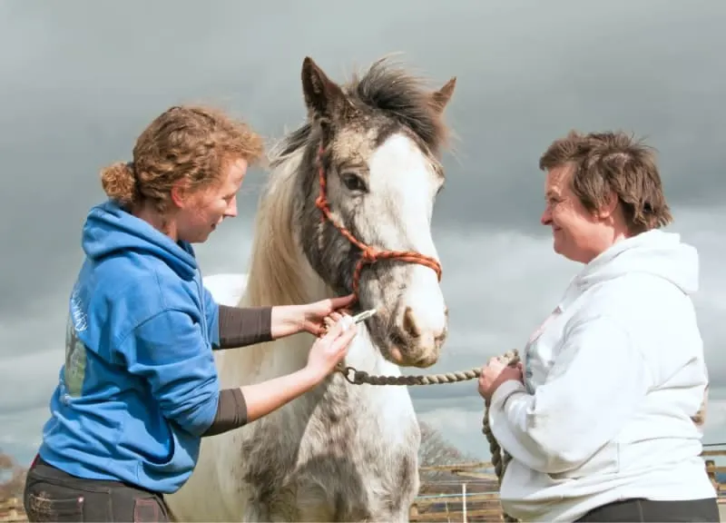 Deworming For Horses Deworming For Horses
