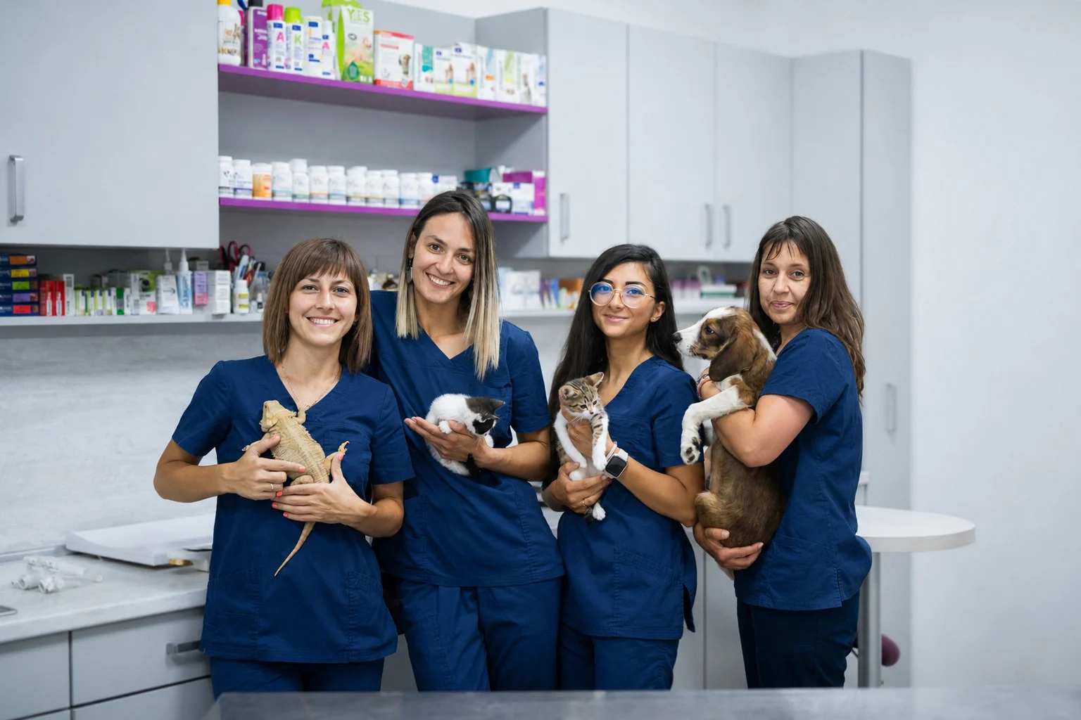 Group of veterinarians holding pets.