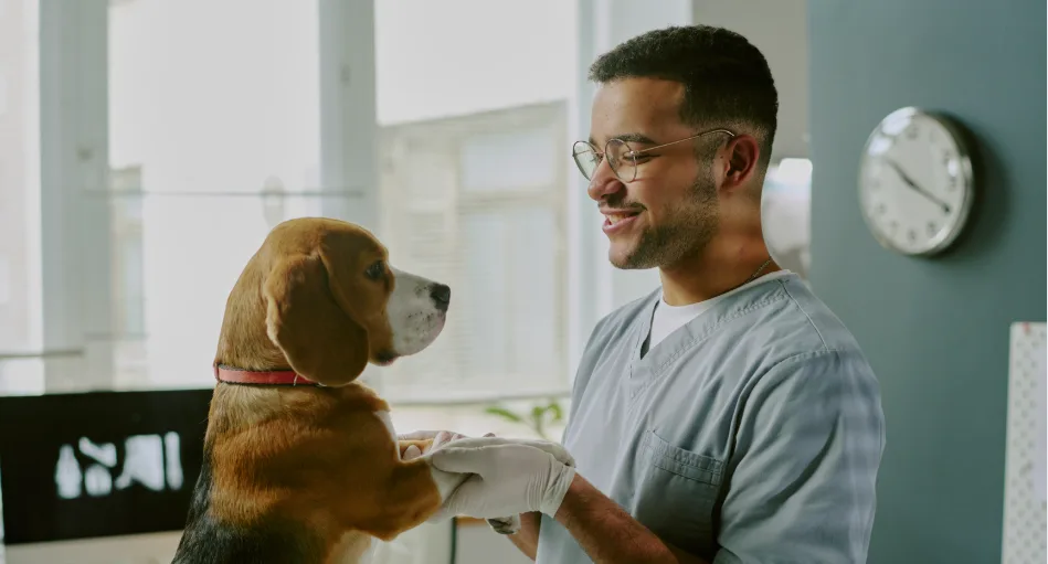 technician with dog