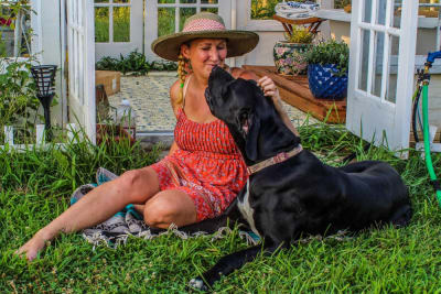 Best Guard Dog Breeds For Your Family Best Guard Dog Breeds For Your Family