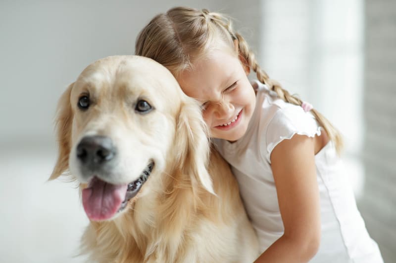 Our Top 10 Picks for The Best Dog for Kids