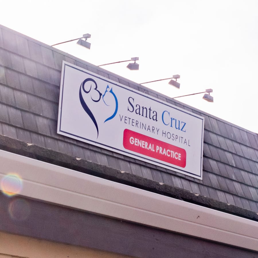 Santa Cruz Veterinary Hospital Generic Section Image