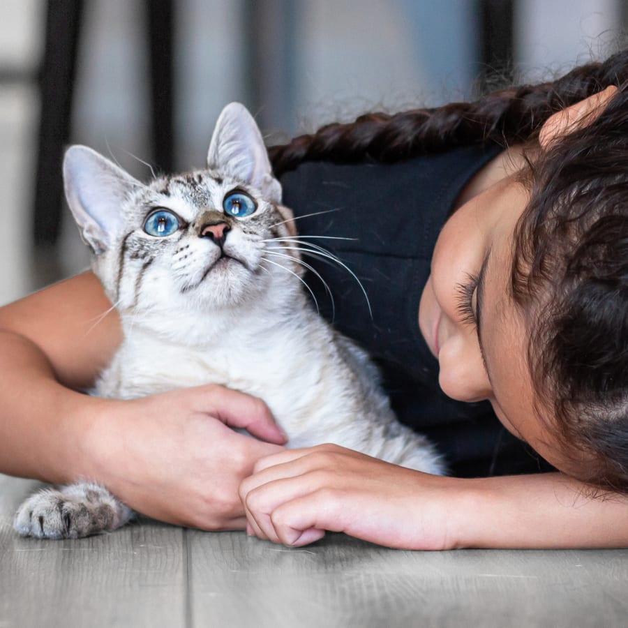 East Coweta Veterinary Hospital Generic Section Image