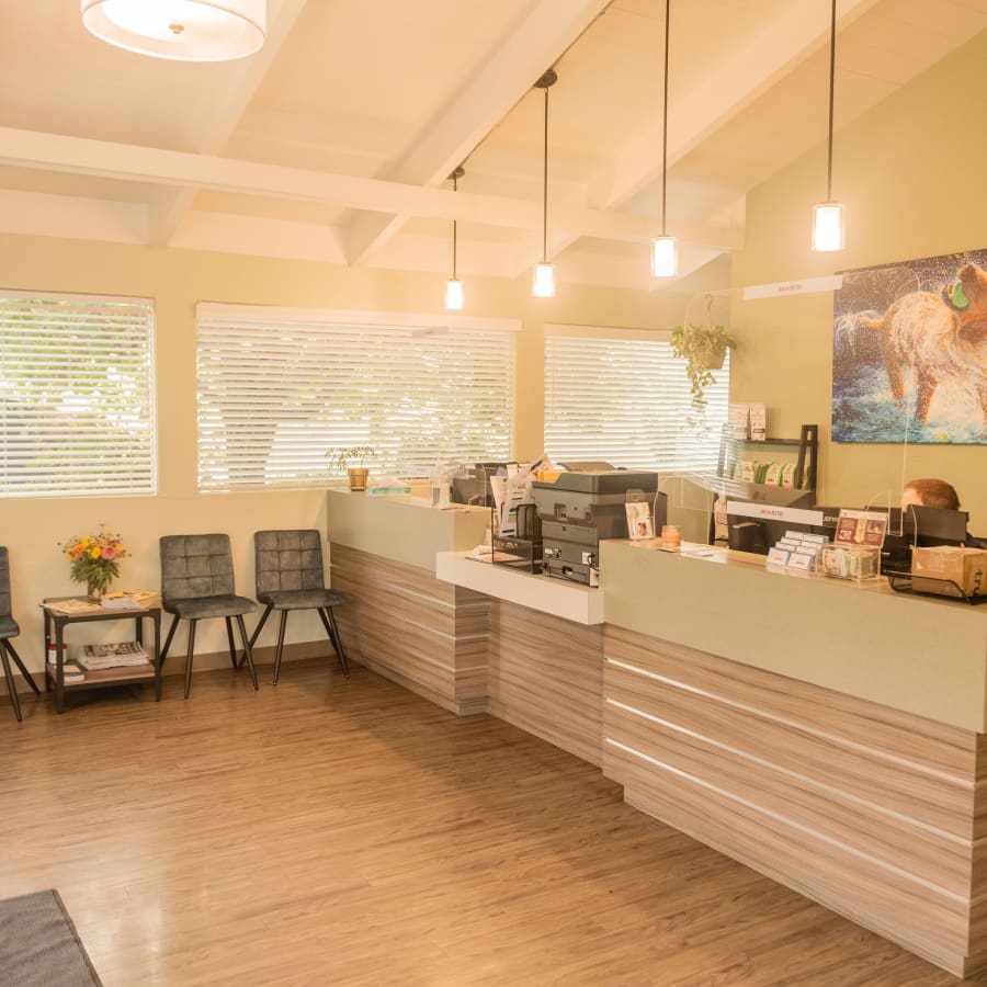 Santa Cruz Veterinary Hospital Generic Section Image