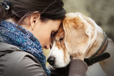 Exploring Alternative End-of-Life Options for Pets