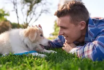 How to Raise a Puppy: Guide for the First Year