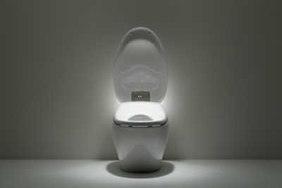 The Ultimate Guide to Toto Toilets: Everything You Need to Know