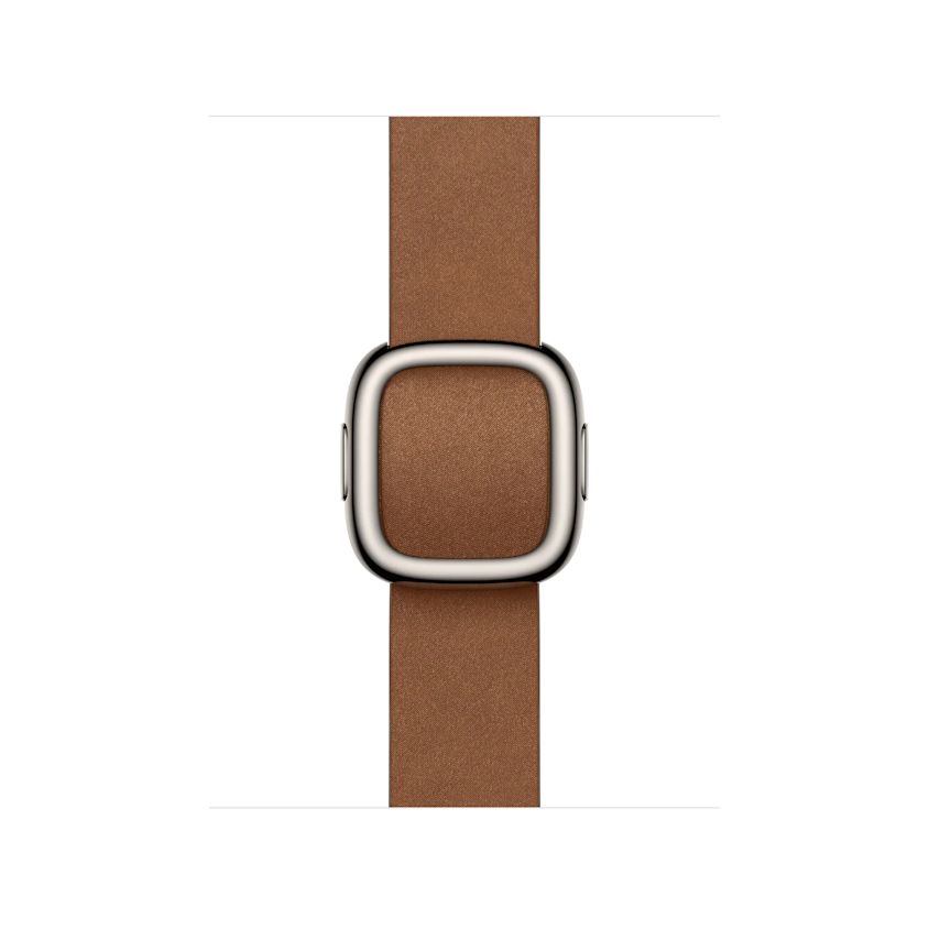 Apple Watch Modern Buckle