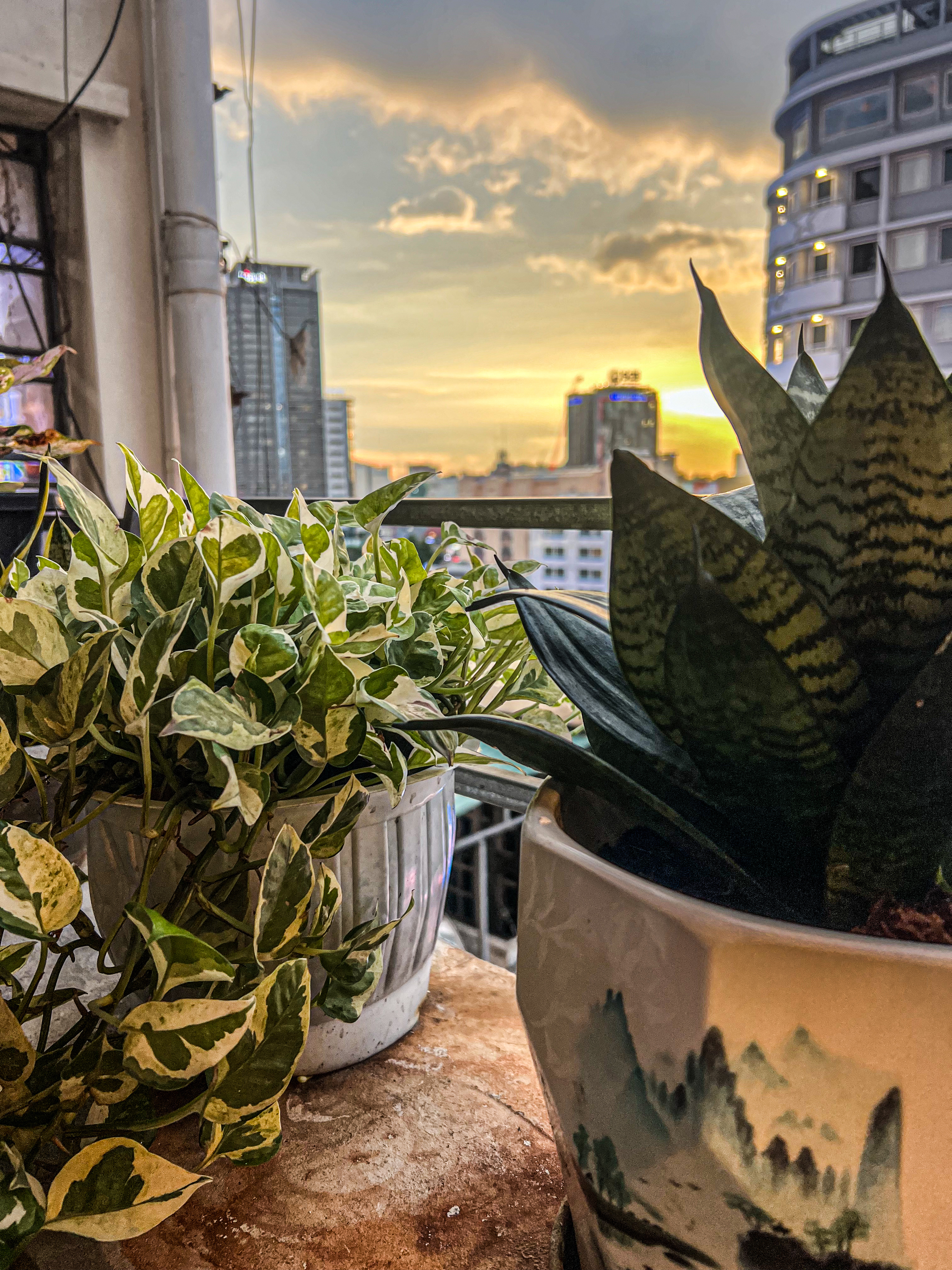 Por do sol