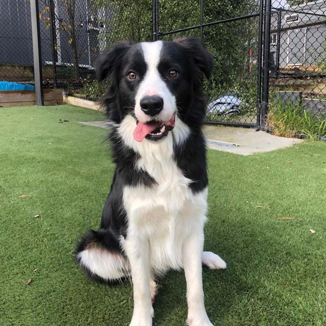 Kip Homestead Yarra Valley