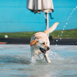 254 Bathurst St, Sawyers Gully NSW 2326