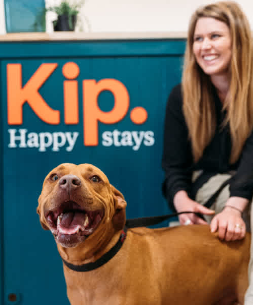 Kip’s Dog & Cat Boarding Services
