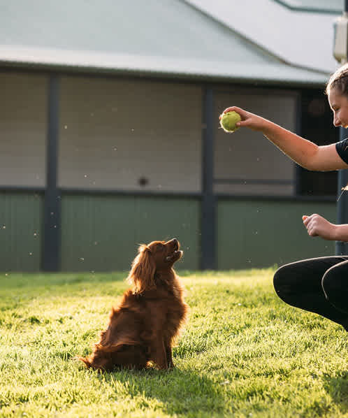 The Pet Boarding Sydney Trusts