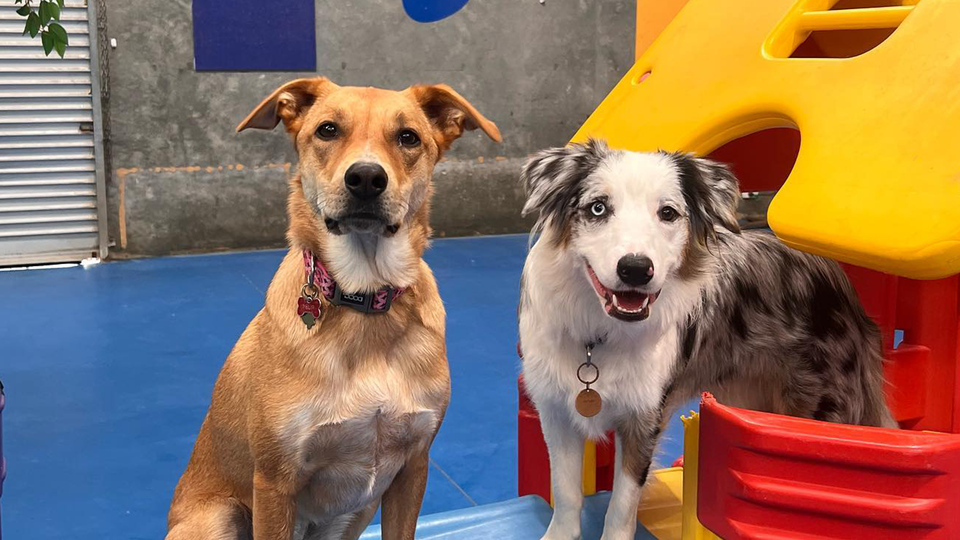 613B Regency Rd, Broadview SA 5083