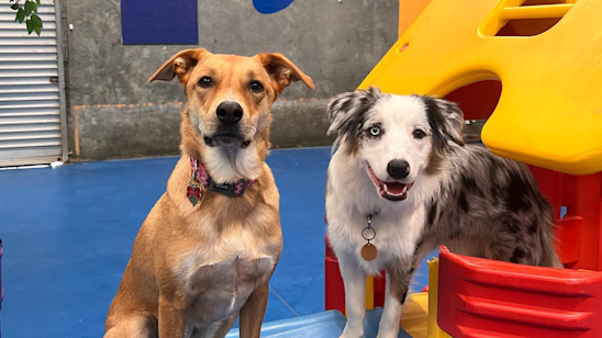 613B Regency Rd, Broadview SA 5083