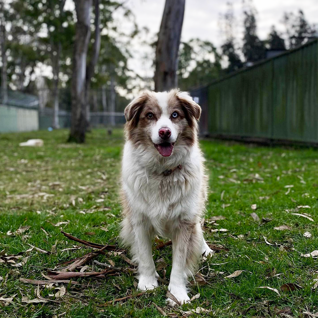 74 Gimberts Rd, Morisset NSW 2264