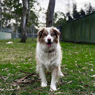 74 Gimberts Rd, Morisset NSW 2264