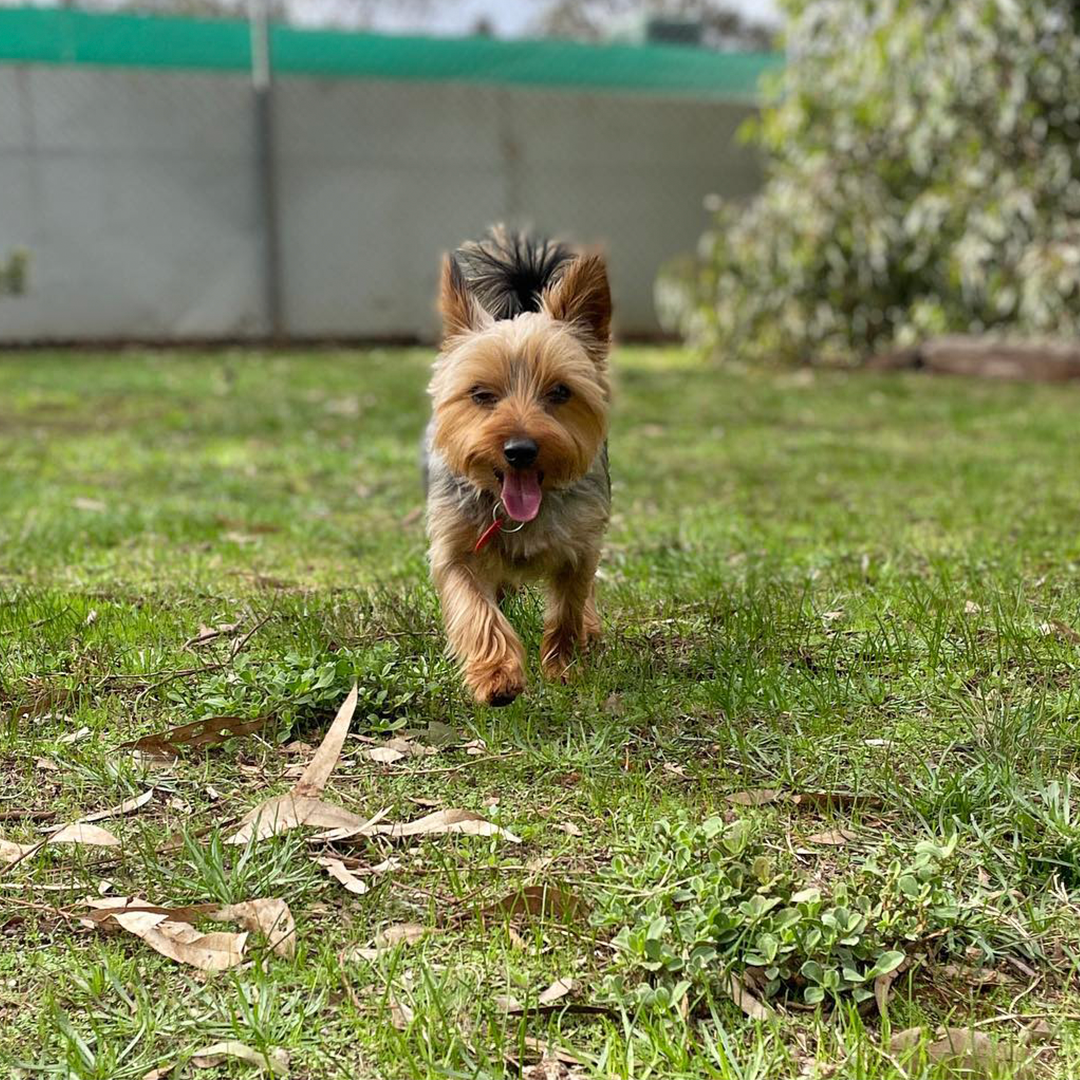 Kip Melbourne West