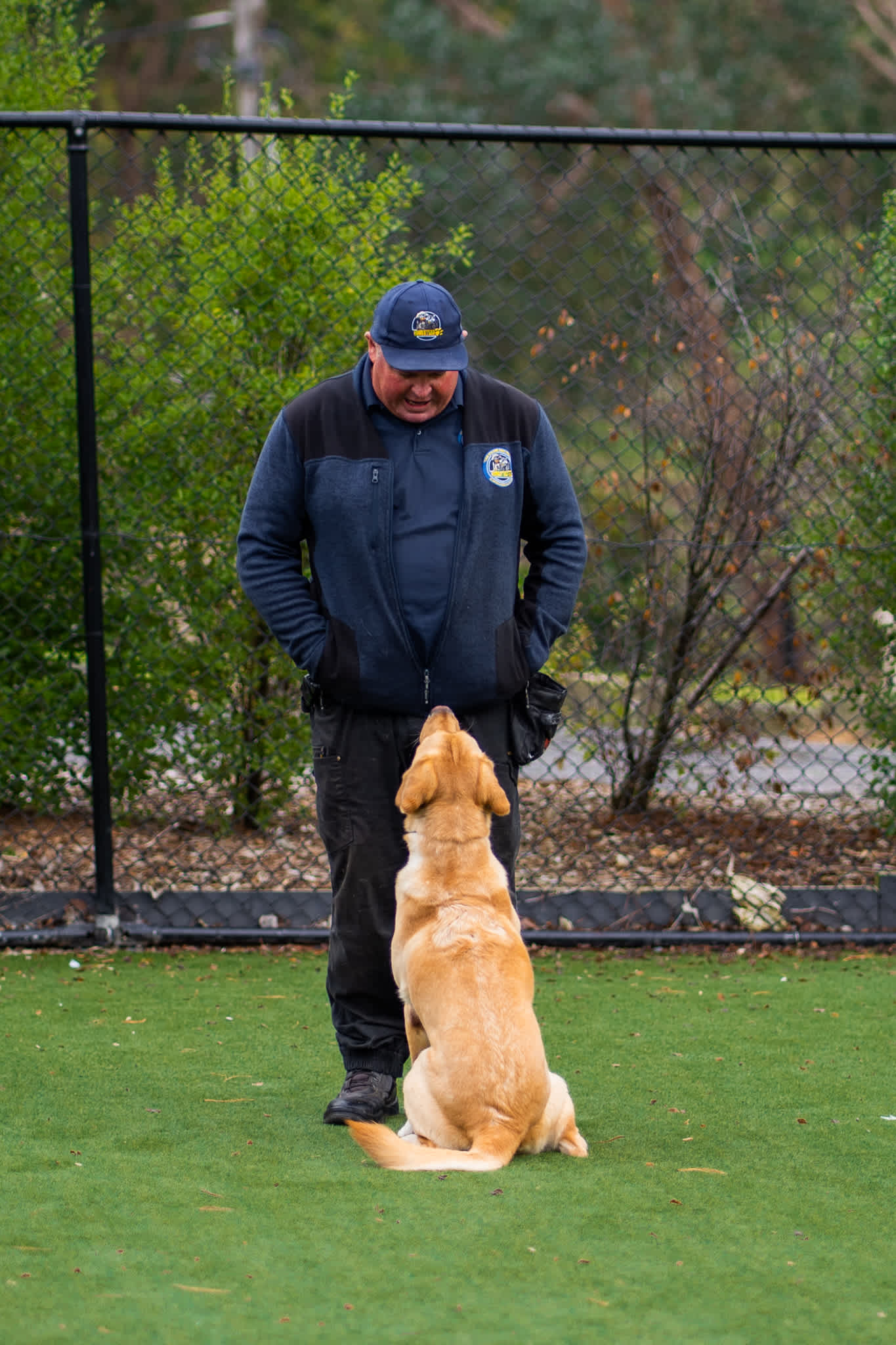 Add day sessions with Canine Coaching