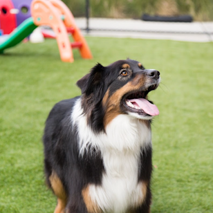 59-61 Ordish Rd, Dandenong South VIC 3175