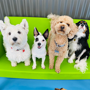 8 Levanswell Rd, Moorabbin VIC 3189